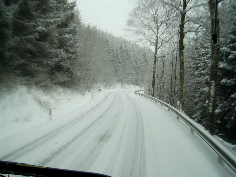 pic_0113.jpg